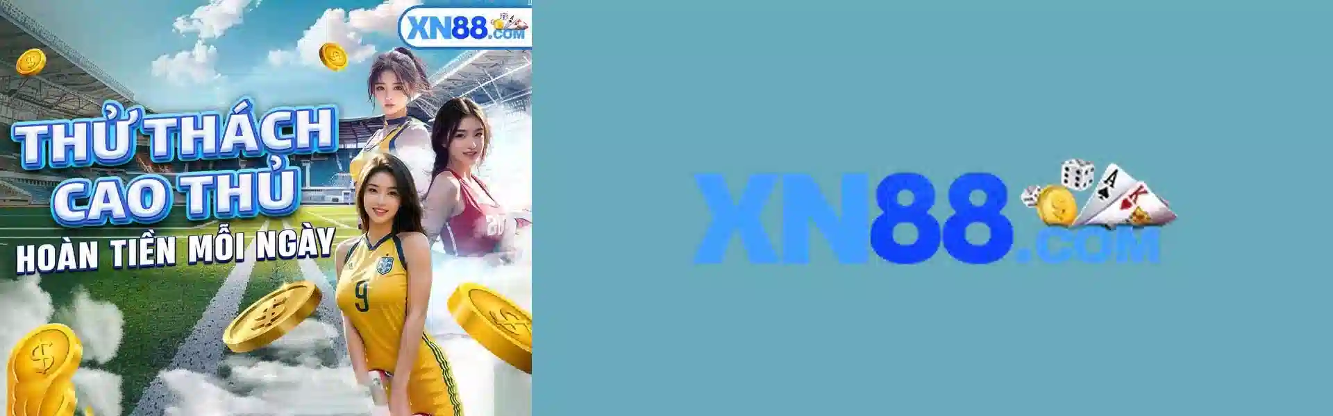 Banner XN88