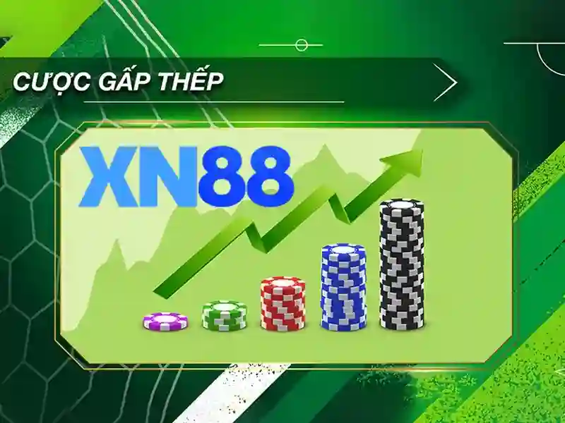 Cung cấp sản phẩm và trải nghiệm người dùng