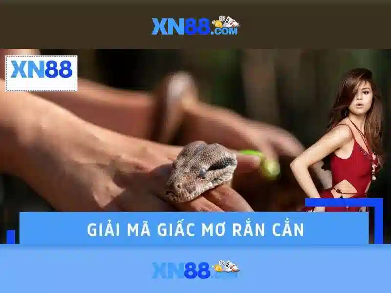 Các tính năng nổi bật