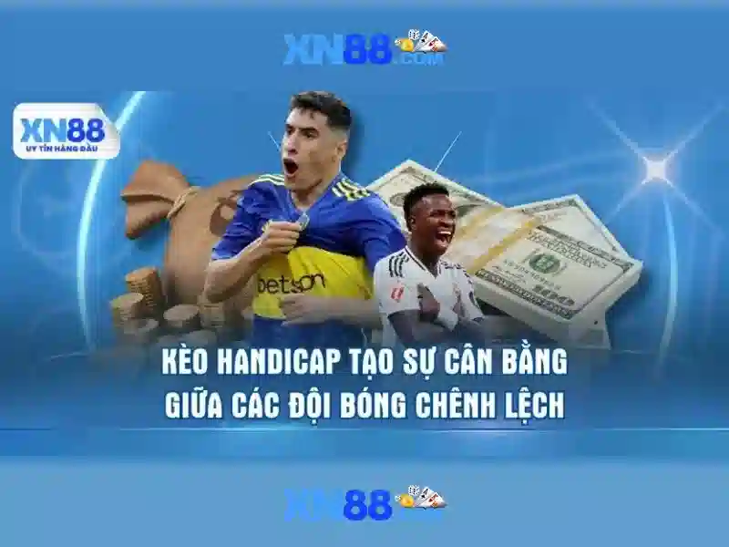 Các đặc điểm nổi bật