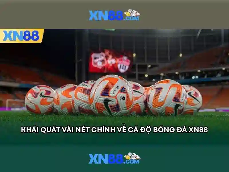 Nền tảng và trải nghiệm người dùng