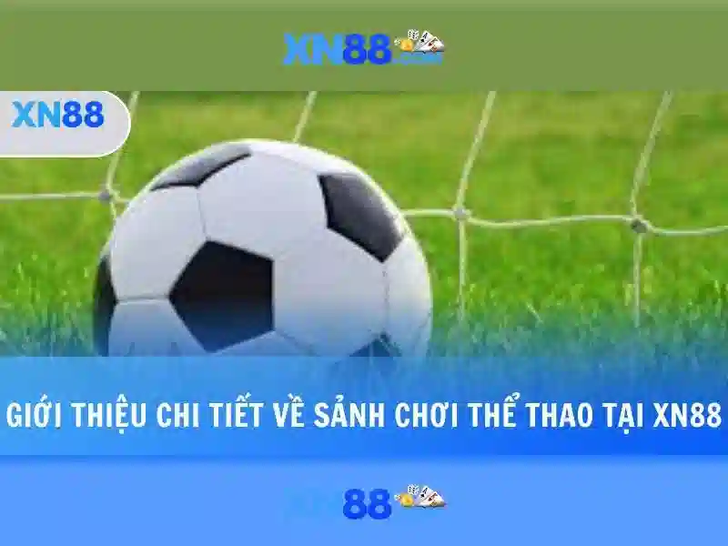 Các tính năng và trải nghiệm