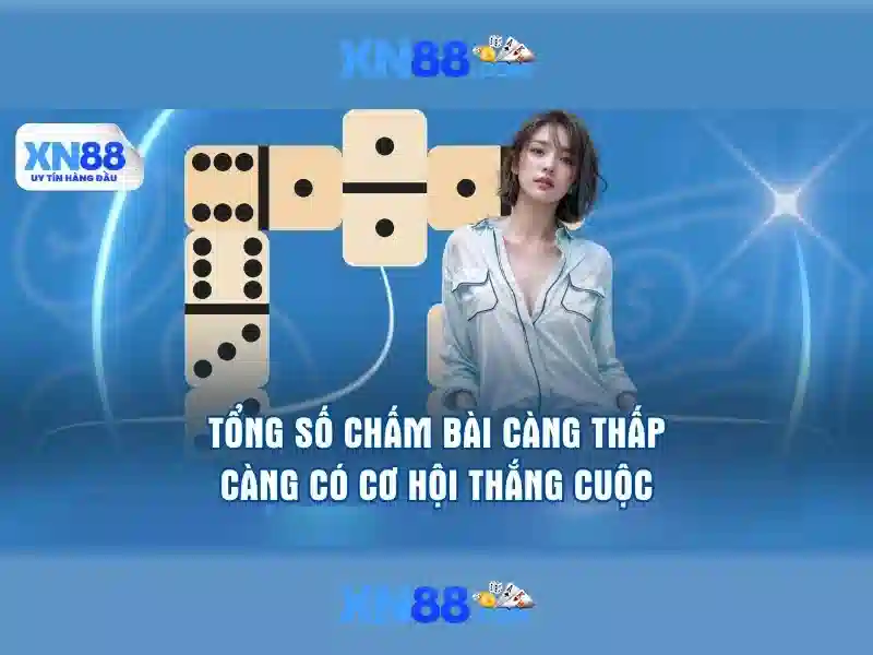 Giới thiệu về xn88