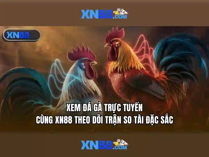 Giới thiệu về xn88