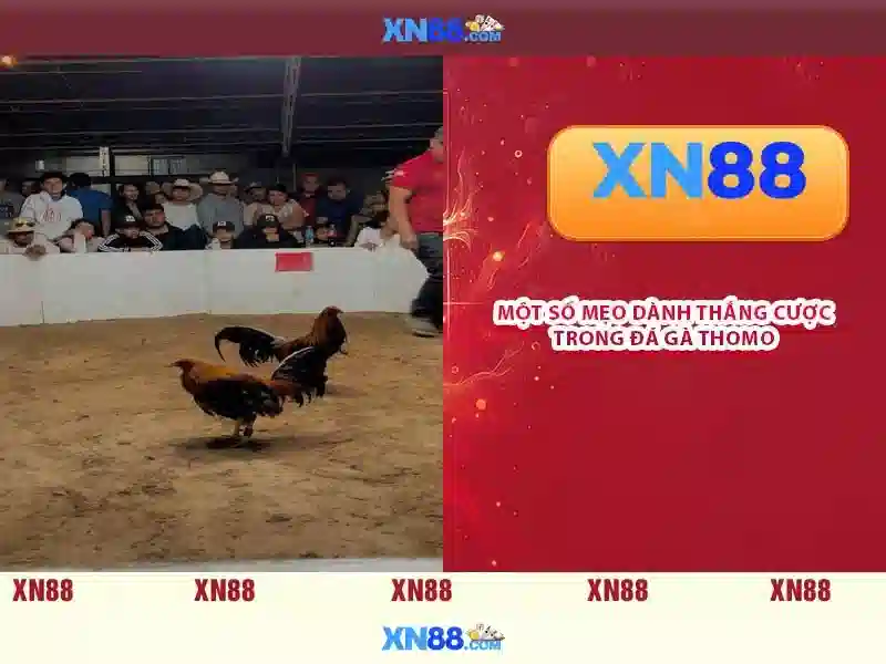 An toàn và bảo mật