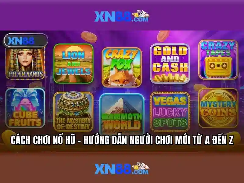 Trải nghiệm người dùng