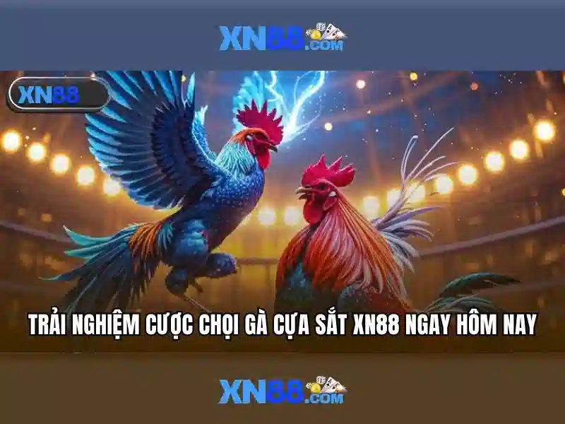 An toàn và trách nhiệm
