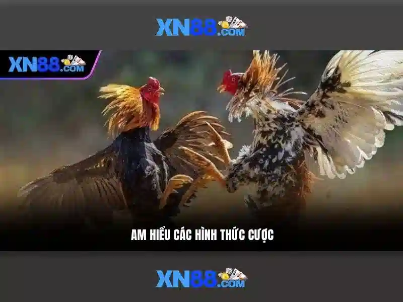 Dịch vụ chính của xn88