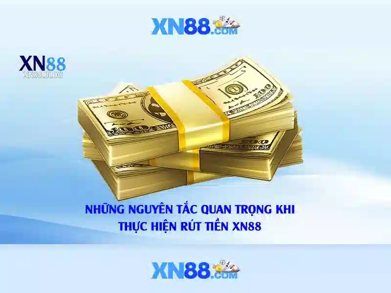Minh hoa quyen loi nguoi choi cua xn88