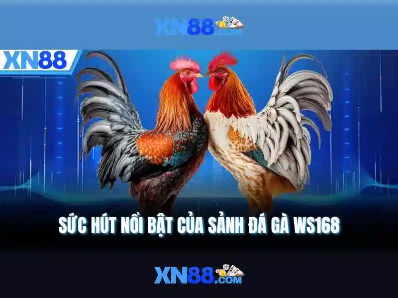 An toàn và đăng ký tại xn88