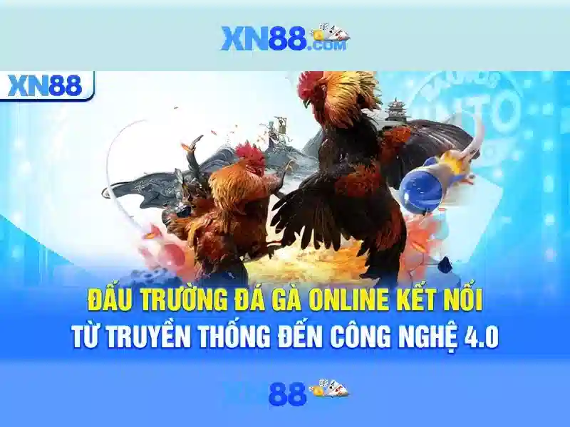 Giao dien xn88 tren desktop