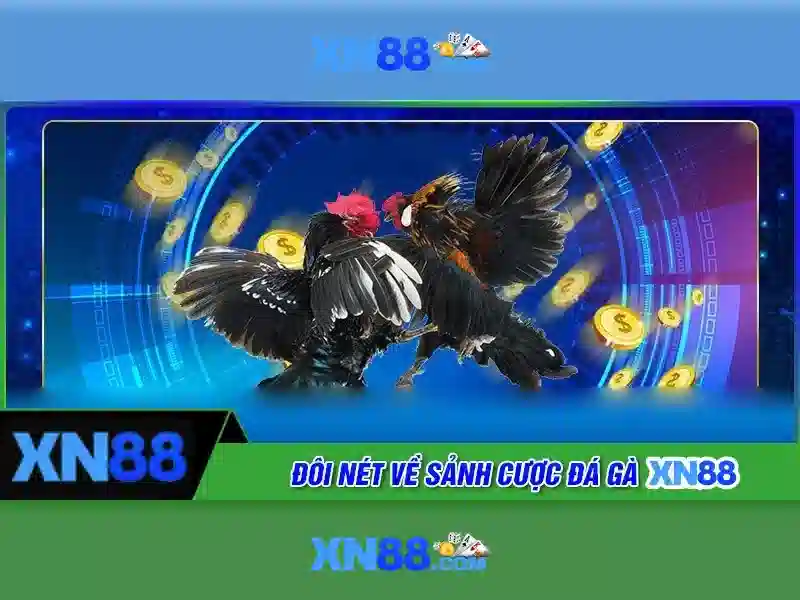Trò chơi casino và slots
