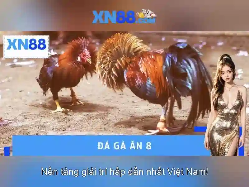 Lịch sử và ý nghĩa