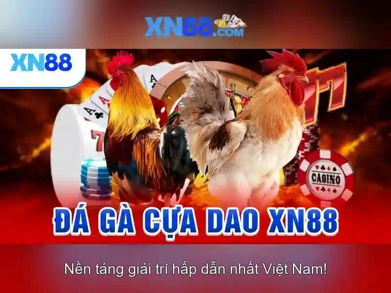 Giới thiệu về xn88
