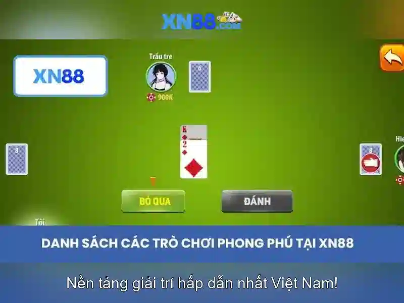 Khái niệm và lĩnh vực hoạt động