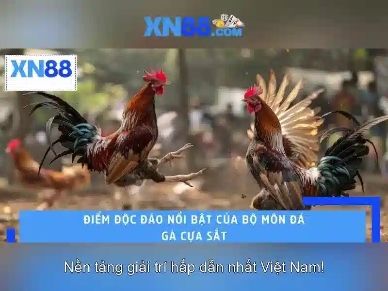 Vì sao người chơi chọn xn88