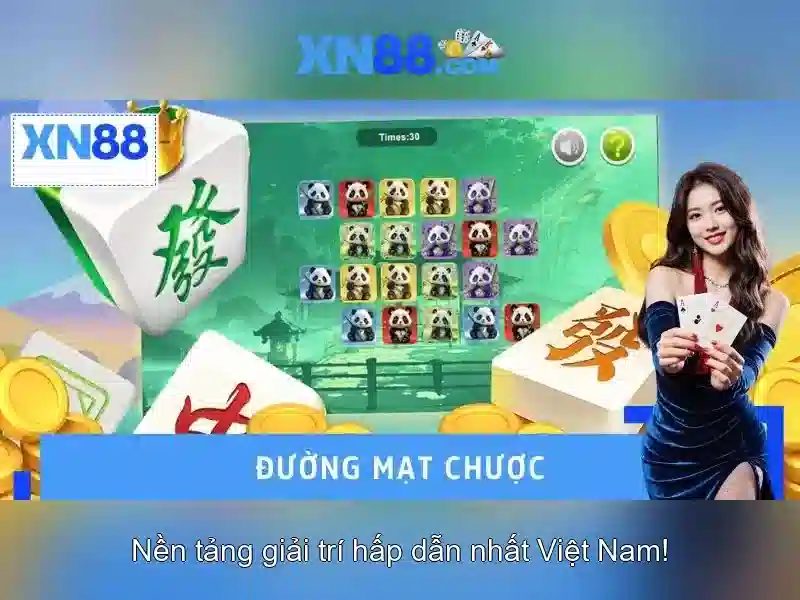 Giới thiệu về xn88