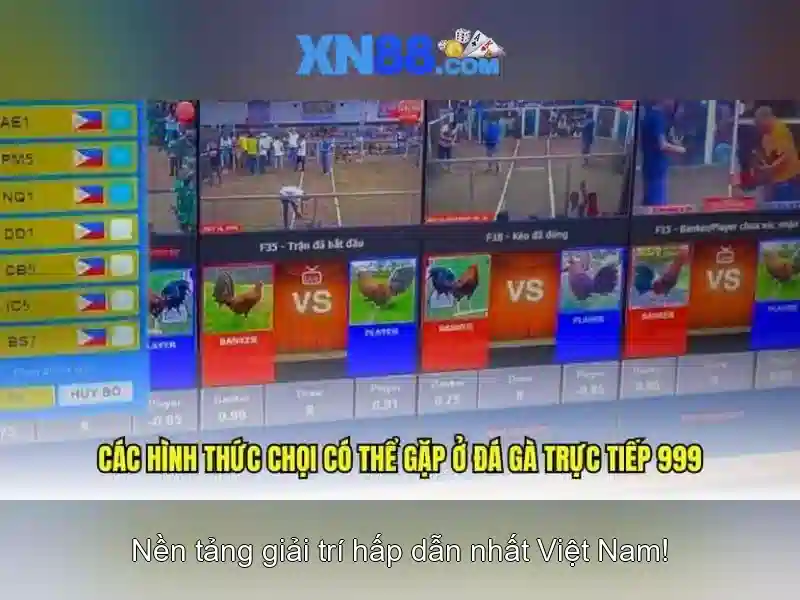 Ảnh giới thiệu xn88 và da ga 