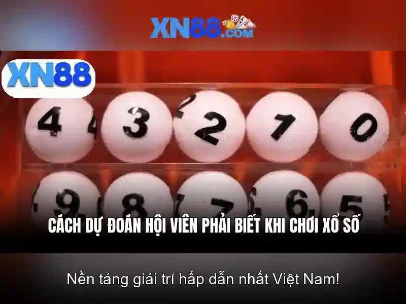 Lịch sử và nguồn gốc của xn88
