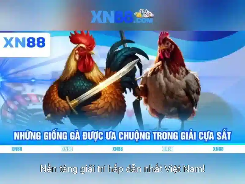Khuyến mãi và chương trình khách hàng thân thiết