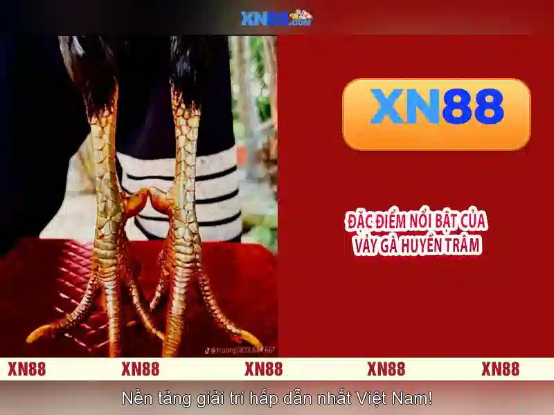 Trải nghiệm người dùng và sự kiện