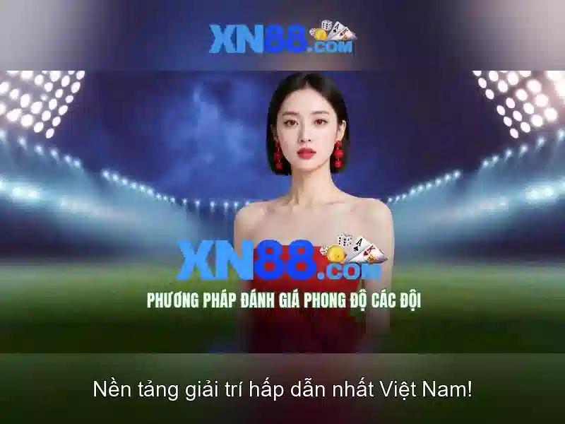 Trải nghiệm người dùng và hỗ trợ