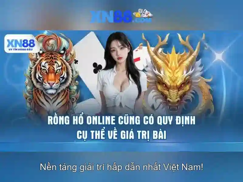 Vài nét về xn88