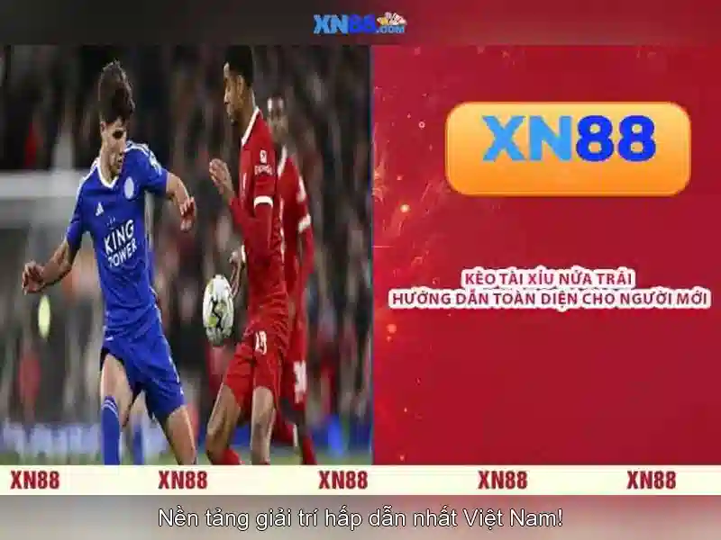 Giới thiệu về xn88