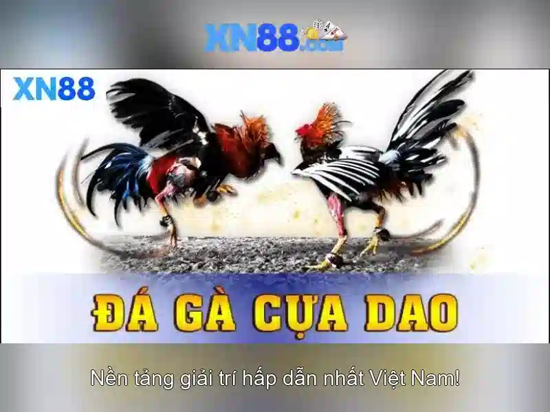 Độ tin cậy và an toàn