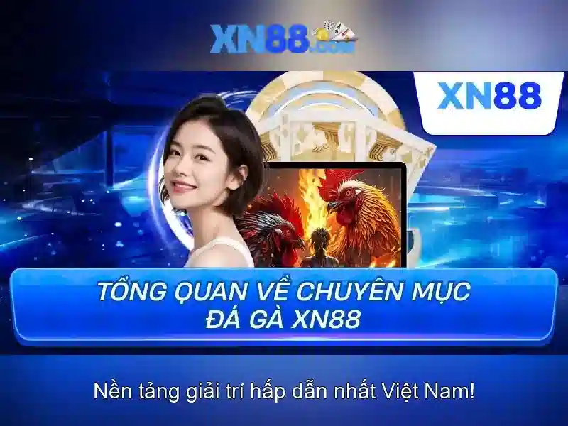 An toàn và pháp lý khi chơi trên xn88
