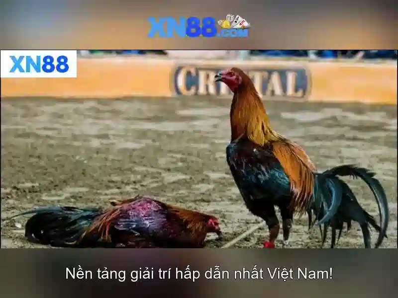 Biểu tượng cấp phép và chứng nhận an toàn 