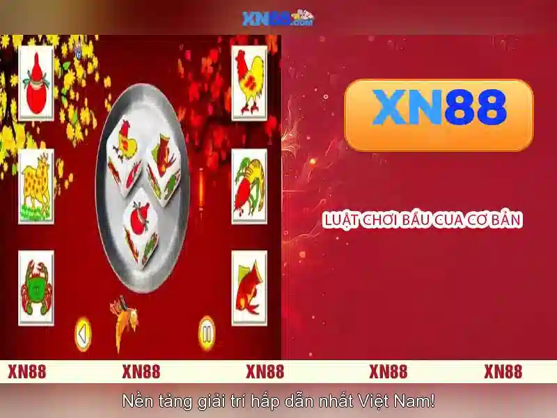 Khuyến nghị và lưu ý