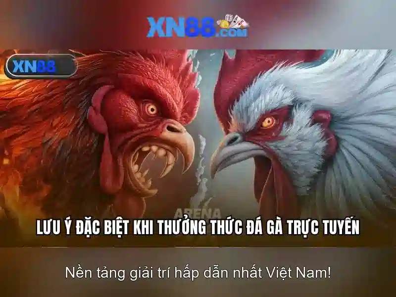 Lịch sử và nguồn gốc của xn88