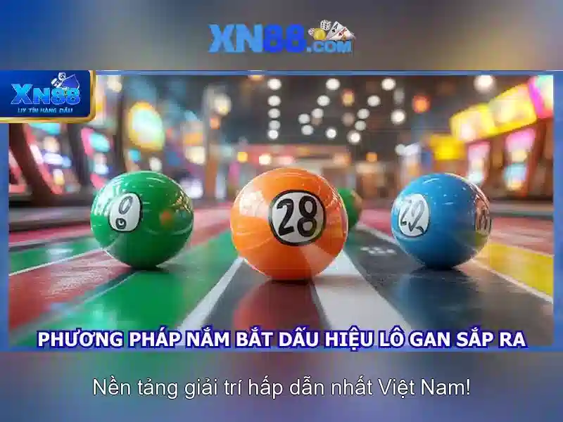 Nền tảng và tiện ích
