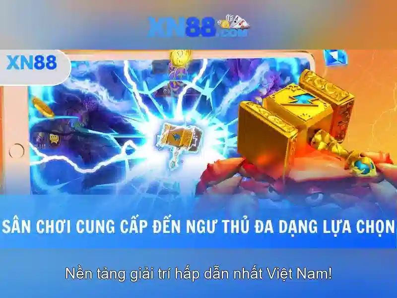 Lịch sử và phát triển
