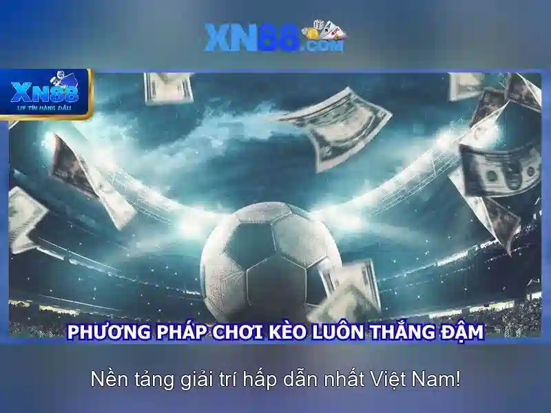 Các sản phẩm và dịch vụ chính