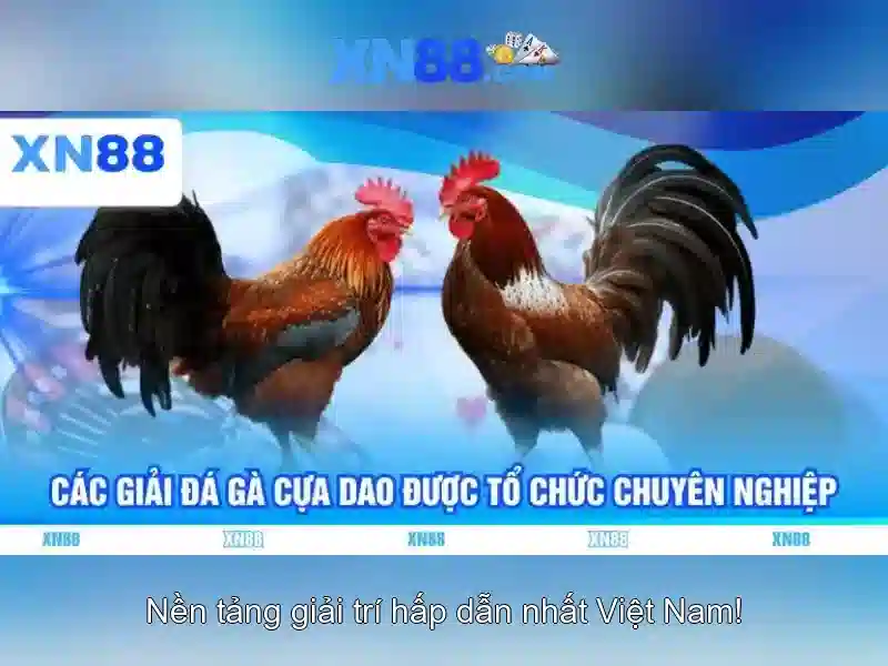 Lịch sử và nguồn gốc