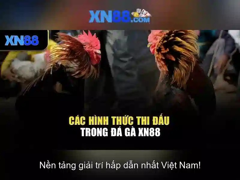 Chính sách hỗ trợ khách hàng 24/7