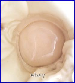 Royal Doulton Character Jug Mephistoples D5757 -2 Faced