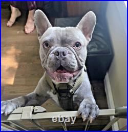 Royal Doulton Lambeth John Dewar & Sons Stoneware Pint Size Whisky Water Jug